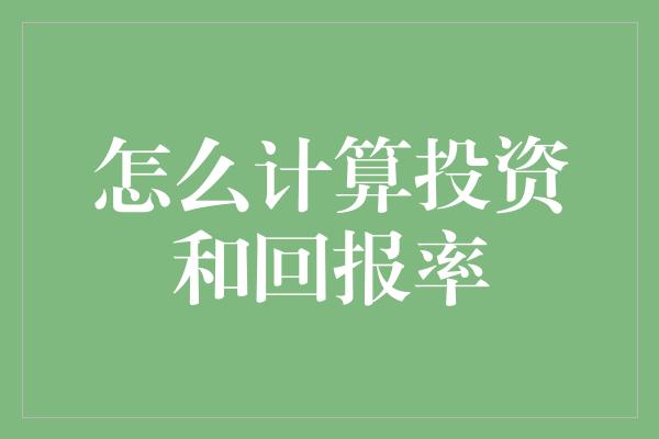 怎么计算投资和回报率