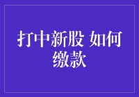 打中新股，如何高效缴款：策略与步骤详解