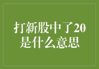 新股打新中签20，新手投资者需要知道的要点