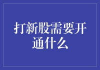 打新股需要开通哪些功能：全面指南