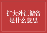 扩大外汇储备：增强国家经济安全与国际影响力的策略