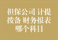 搞不懂的会计术语：担保公司、计提拨备和财务报表