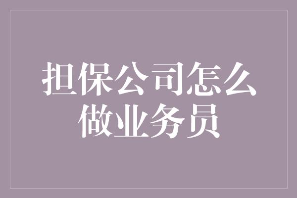 担保公司怎么做业务员