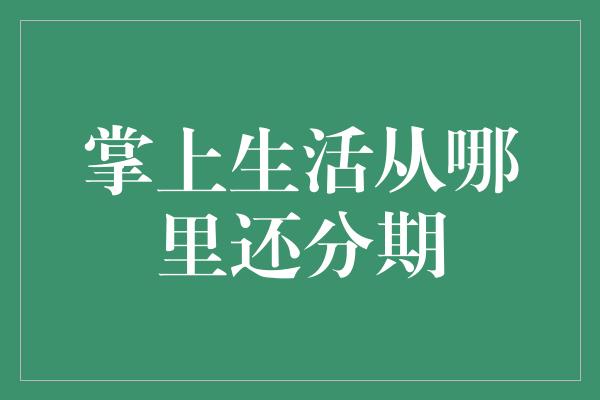 掌上生活从哪里还分期