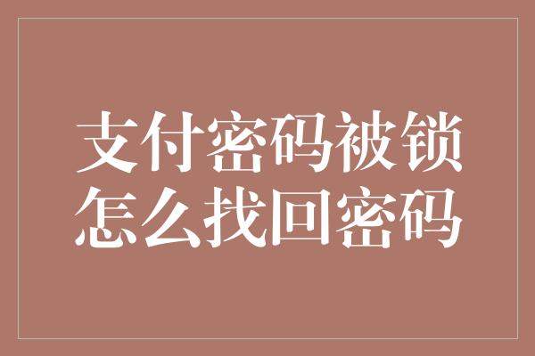 支付密码被锁怎么找回密码