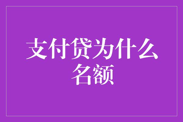 支付贷为什么名额