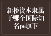 新桥资本隶属于哪个国际知名pe旗下