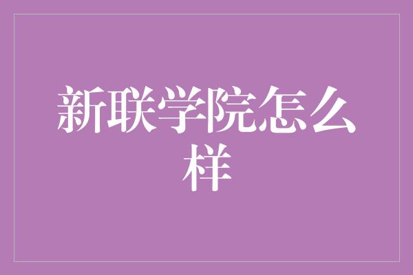 新联学院怎么样