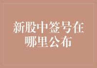 新股中签号公布机制探析：从申购到揭晓的全程指南