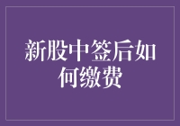 新股中签后如何缴费？这份指南教你如何优雅地缴款