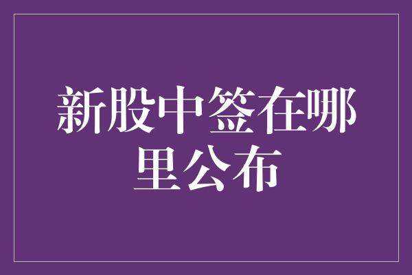 新股中签在哪里公布