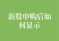 新股申购后如何显示：解析A股市场的信息披露机制与投资者查询路径