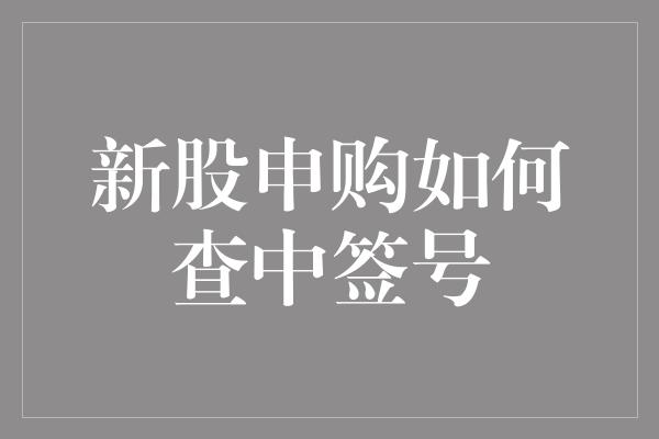 新股申购如何查中签号