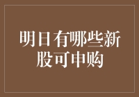 2024年今日申购新股大盘点：来一场投资版的盲盒大挑战！