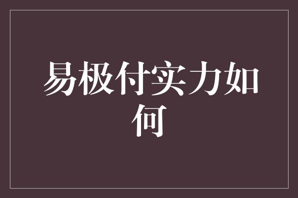 易极付实力如何