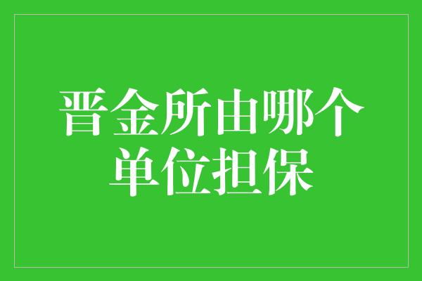 晋金所由哪个单位担保