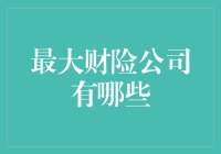 中国最大财险公司：构建金融安全保障网络