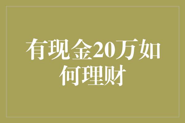 有现金20万如何理财