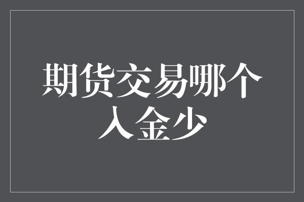 期货交易哪个入金少