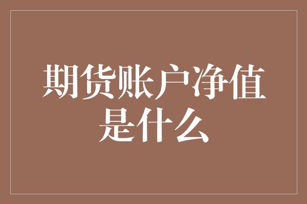 期货账户净值是什么