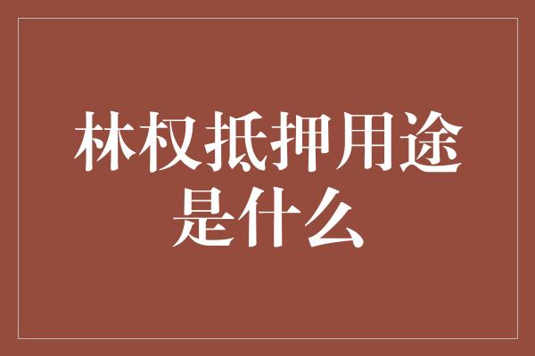 林权抵押用途是什么