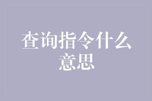 查询指令什么意思