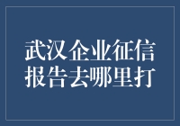 武汉企业征信报告在哪里查询与获取：一份全面指南