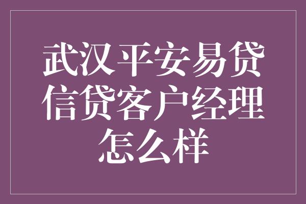 武汉平安易贷信贷客户经理怎么样