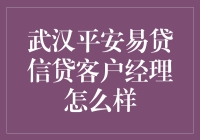 武汉平安易贷信贷客户经理的职责与挑战