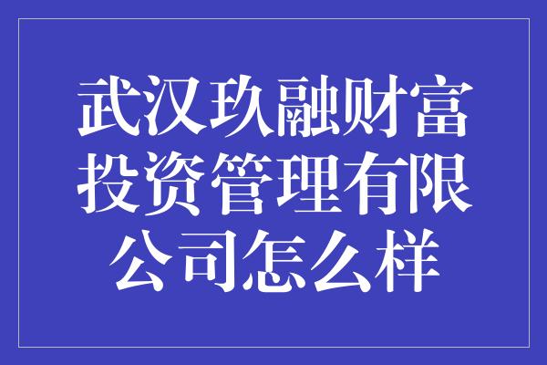 武汉玖融财富投资管理有限公司怎么样