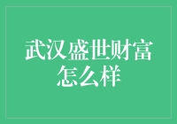 武汉盛世财富：财富管理的新时代探索