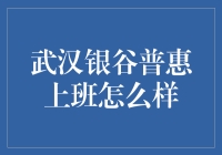 武汉银谷普惠：在职场江湖中的独特修行