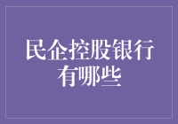 民企控股银行：探索中国金融生态系统的新兴力量