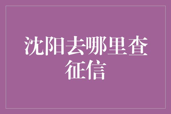 沈阳去哪里查征信