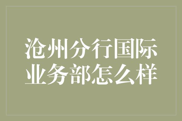 沧州分行国际业务部怎么样