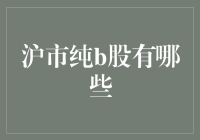 沪市纯B股大起底：一部笑料频出的浮生记