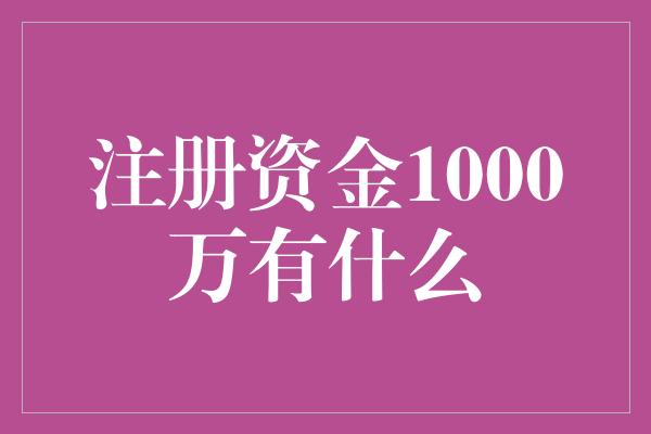 注册资金1000万有什么