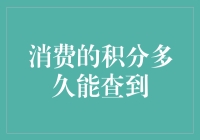 消费的积分多久能查到：探究积分查询的时间规律