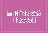 温州金投老总的级别与影响力解析：从地方金融掌舵人到区域经济振兴者