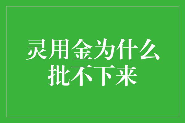 灵用金为什么批不下来