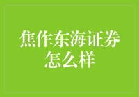 焦作东海证券：如何评价这一细分市场中的佼佼者？