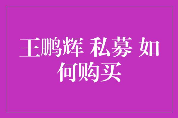 王鹏辉 私募 如何购买