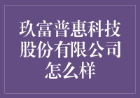 玖富普惠科技股份有限公司：金融科技领域的新星