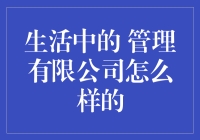 管理有限公司：企业运营的艺术与科学