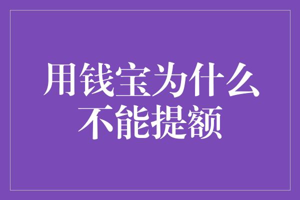 用钱宝为什么不能提额