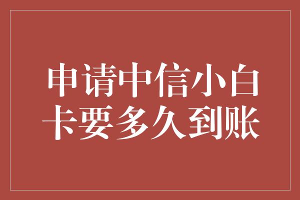 申请中信小白卡要多久到账