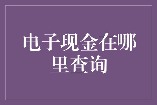 电子现金在哪里查询