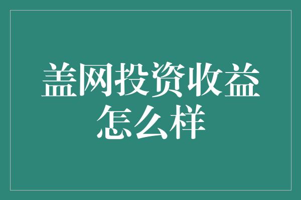 盖网投资收益怎么样