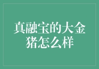 真融宝的大金猪怎么样：探寻2023年度理财神器