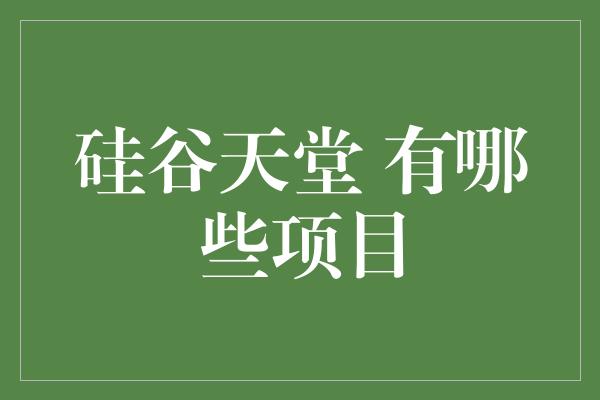 硅谷天堂 有哪些项目